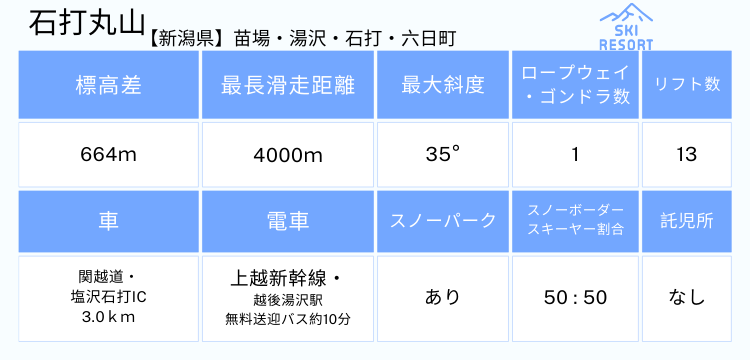 185 石打丸山スキー場 1日券(当日最大8.5h利用可) 【ICチケット 