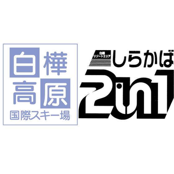 444 しらかば2in1/白樺高原国際スキー場 1日券【共通】【23～59歳以下】【平日限定】 + 食事券1,200円