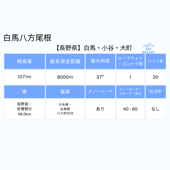 295 白馬八方尾根スキー場 2日券 【18歳以上】