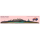 GRANDTETON/ グランドティートン国立公園 Bison （バイソン）