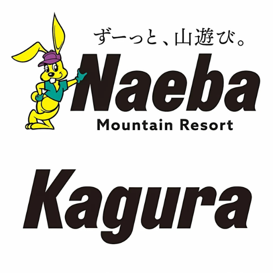 苗場、かぐらスキー場共通一日券✖️2 319 苗場スキー場ORかぐらスキー場 1日券【2枚綴】 | Mt.Naeba
