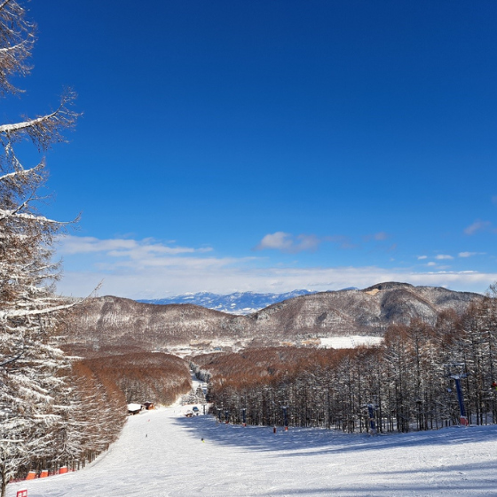 410 ブランシュたかやまスキーリゾート 1日券【大人】