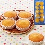 ۥޥɥ졼 25G10 (ơ֥ޡ/ॱ/¾)