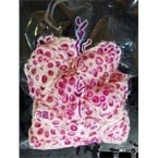 ¢۲֤餷󤳤 800G (ե/ùʡ¢)