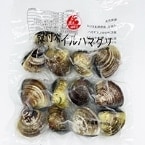 եϥޥM 500G (ҥΡ/)