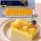 ۵)ե꡼åȥ ѥ&ޥ󥴡 495G (ҥեå/ॱ/ե꡼åȥ)