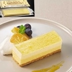 FC Υ쥢 550G (ơ֥ޡ/ॱ/ե꡼åȥ)