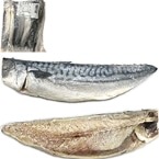 ۤ ʸ 110/170 10 (//ڤ)