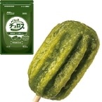 ������ۥѥ��äȥ������������̣ 500G (�������������ʴ�������/�����ǥ�����/����¾)