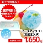 ������ۥ�������������ú��ɹ����� 2L (�������饤��/���ॢ����/���㡼�٥å�)