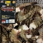 Ubrand ̵ƬBT 13/15 9002 (/)