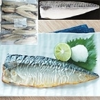 ۱Хե 95G10 (ҥ˥å//ڤ)