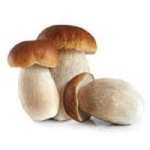 ݥIQFå ֥ 2- 4CM 1KG (եơ¥ѥ/ùʡ/Τ)