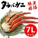 ������ۡڸ����Y)�ܥ��륿��Х�����(��������)7L 1.2KG (���ܿ建/����)