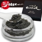 ������۾����ͥ���ӥ� 2.8MM(������) 15G (����������/����)