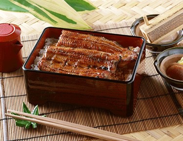 �ھﲹ�۳��ƤΤ���(��) 1.8L (�����ܿ��ʹ��ȳ������/����Ĵ̣��/����)