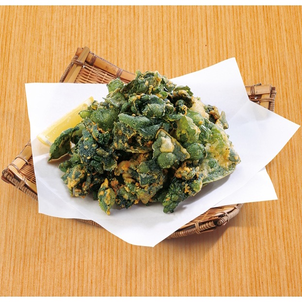 ������ۻ�Φ���狼�����Ȥ� 500G (�����ӥ��ߥ�������/����Ĵ����/����¾)