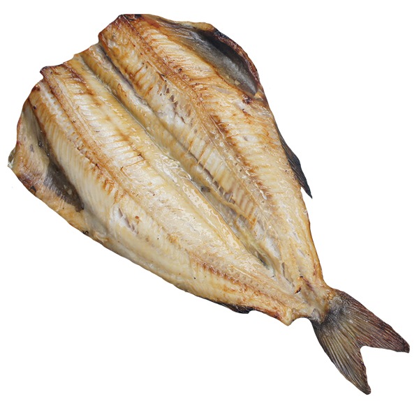 �������̵Ƭ�ʤۤä���������3L  4���� (/��/����)