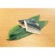 �������SPC�㤢�餤���ʤ��Υ륦�������ڿ� 70G��10���� (Umios�������/��/���ʤ��ڤ��)