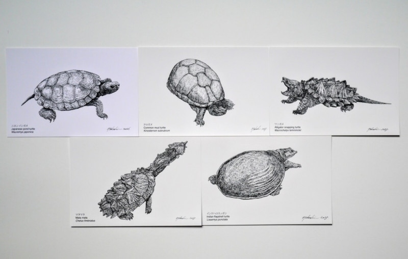 �ַ������ޥ����ץݥ��ȥ����ɡ��ڥ��饹�ȤϾ���δ�����