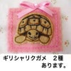 カメロク屋　ギリシャリクガメ巾着袋|小さな袋物|バッグ・ポーチ