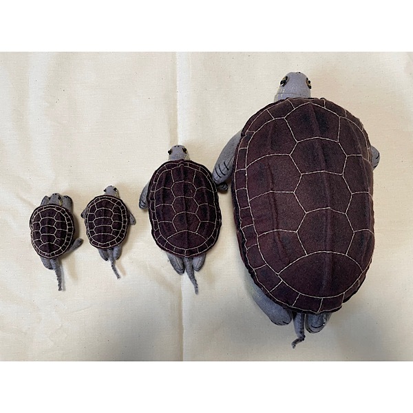 �����������Ω�ε��޴ա���饳���꡼�����֥��������