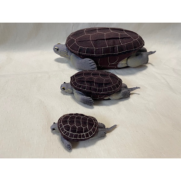 �����������Ω�ε��޴ա���饳���꡼�����֥��������