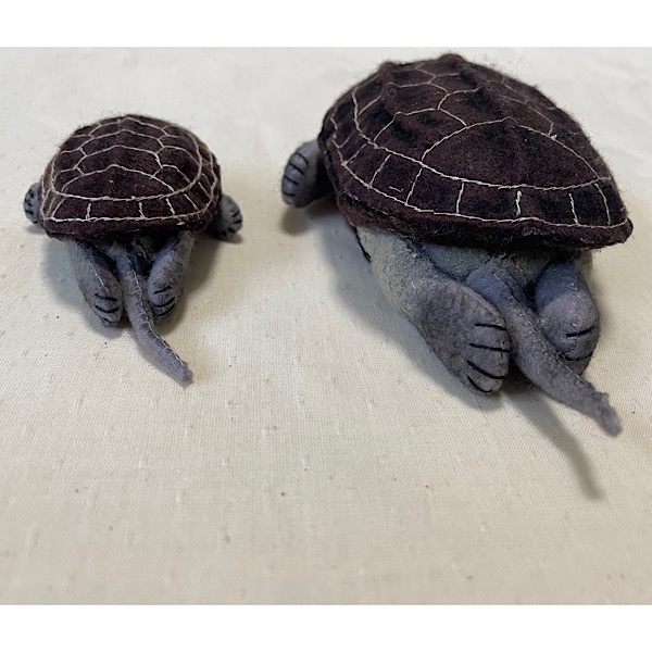 �����������Ω�ε��޴ա���饳���꡼�����֥��������