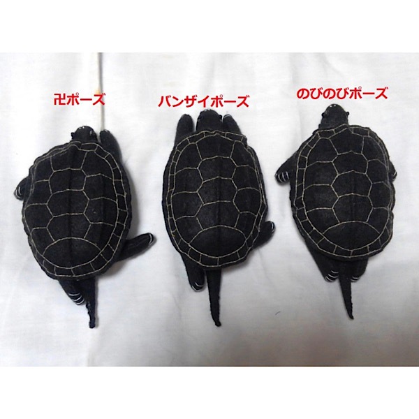 �����������Ω�ε��޴ա���饳���꡼�����֥���������