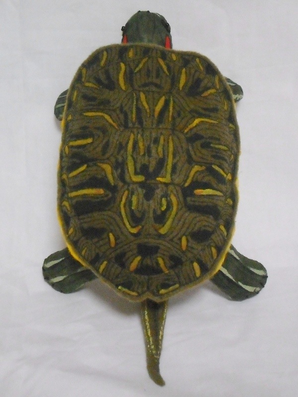 拡大イメージ表示