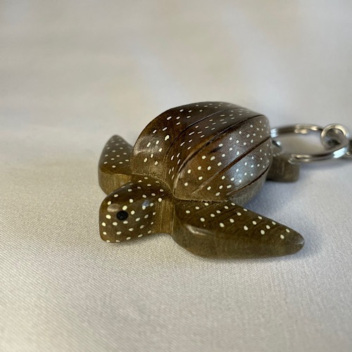 �ں����١ۡ����ꡡ��Ħ�ꥭ���ۥ��������