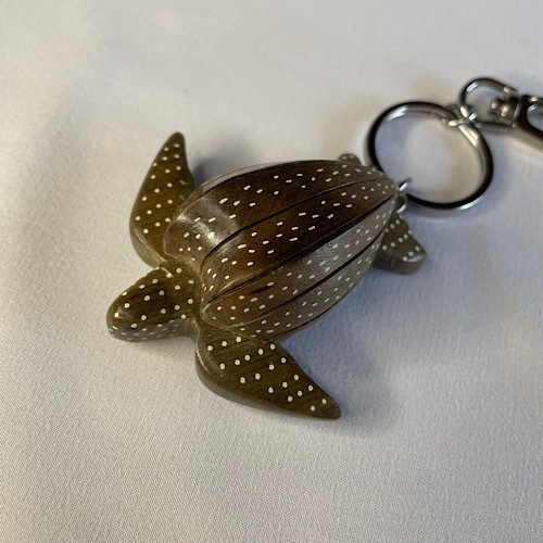 �ں����١ۡ����ꡡ��Ħ�ꥭ���ۥ��������