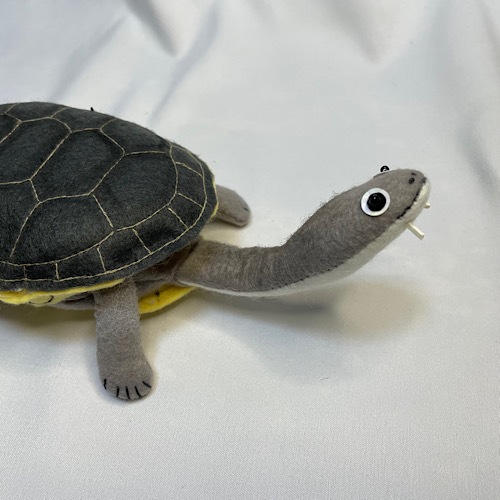 �����������Ω�ε��޴ա������٥���å��ʥ����ӥ���