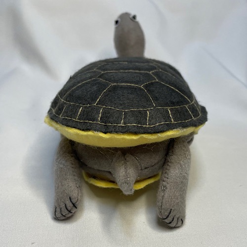 �����������Ω�ε��޴ա������٥���å��ʥ����ӥ���