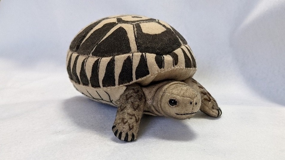 �ڤ����󤻡ۡ������������Ω�ε��޴ա��إ�ޥ�ꥯ����