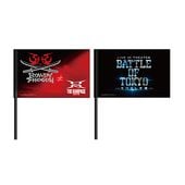 LIVE IN THEATERBATTLE OF TOKYO -Ĥ-٥եå(ROWDY SHOGUN)