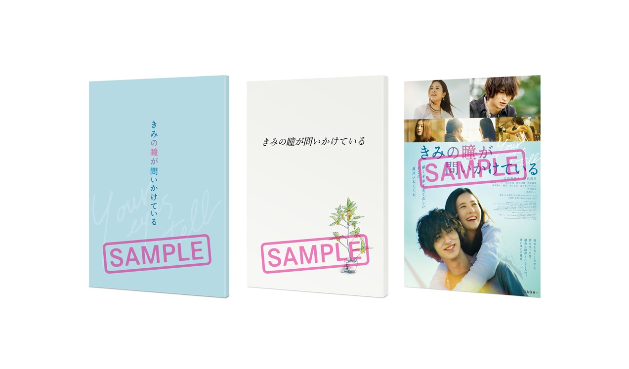 �֤��ߤ�Ʒ���䤤�����Ƥ����GAGA��ONLINE STORE���� DVD�ץ�ߥ��ࡦ���ǥ�������2���ȡ�