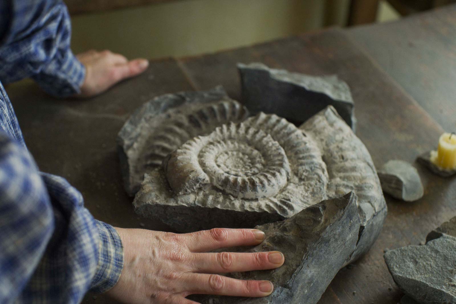 �֥����ʥ��Ȥ��ܳФ��DVD��GAGA��ONLINE STORE���� �����ʥץ쥹�դ�