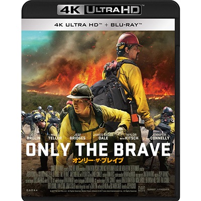 �֥���꡼�������֥쥤�֡�4K ULTRA HD�ܥ֥롼�쥤��2���ȡ�