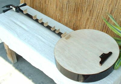 ダン・グェット（ベトナム2弦琴）