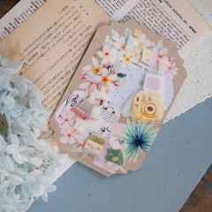 樂意Loidesign]My passport - feat. Magger 動物柄 マットPETテープ