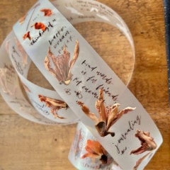 [茄子先生] 木綿(Kapok) マットPETテープ(剥離紙付き)