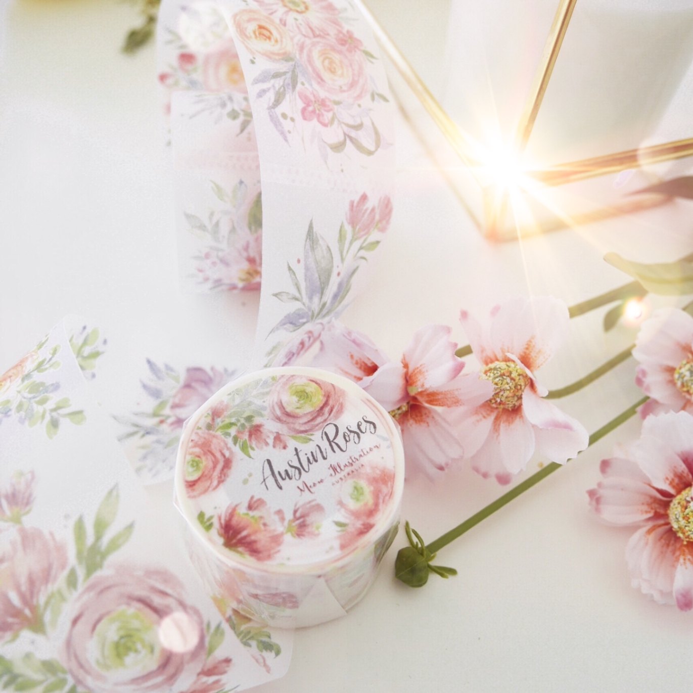 [Meow Illustration] 奧斯丁的玫瑰 Austin Rose 和紙テープ(剥離紙付き)