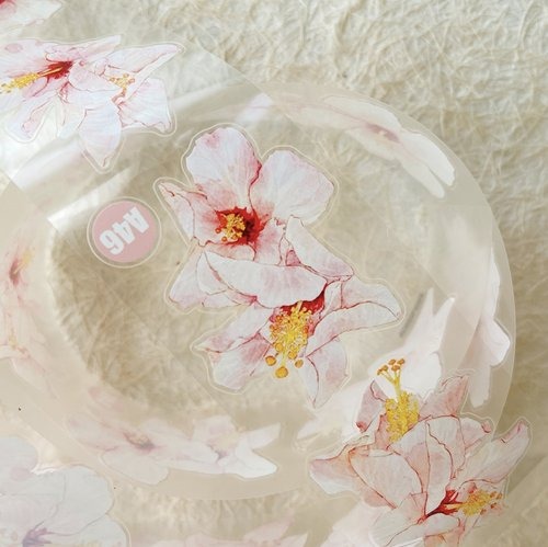 丁丁DingDing] A46 扶桑 ダイカットマットPETテープ(剥離紙付き