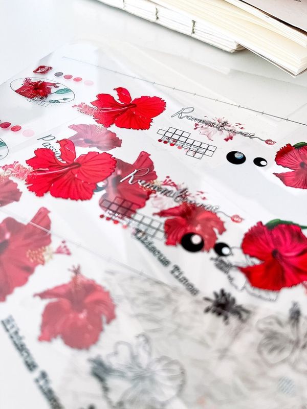 Pion]花様 Pattern girls クリアPETテープ(剥離紙付き) 台湾マスキング