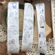 [Pion]デッサンガールズ 和紙テープ(剥離紙付き) 台湾マスキングテープ 海外マスキングテープ