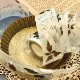 [茄子先生] 舊葉(Old Leaves) マットPETテープ (剥離紙付き)