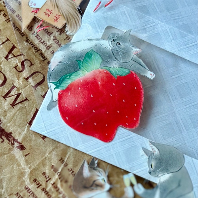 補補猫・大衛煮愛] 料理菓實廚房 クリアPETテープ(剥離紙付き