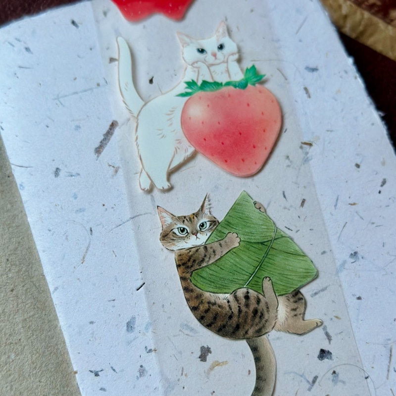 補補猫・大衛煮愛] 料理菓實廚房 クリアPETテープ(剥離紙付き