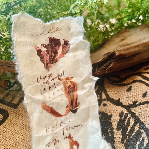 [茄子先生] 木綿(Kapok) マットPETテープ(剥離紙付き)